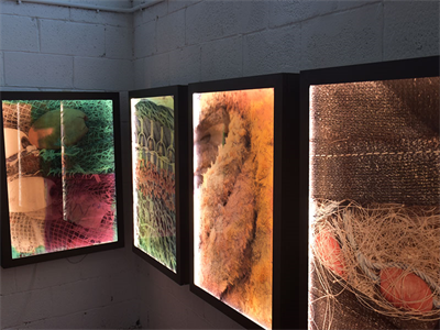 האמנית אריאלה ורטהיימר מציגה את תערוכת החופש להשתחרר - קופסאות אור 2016